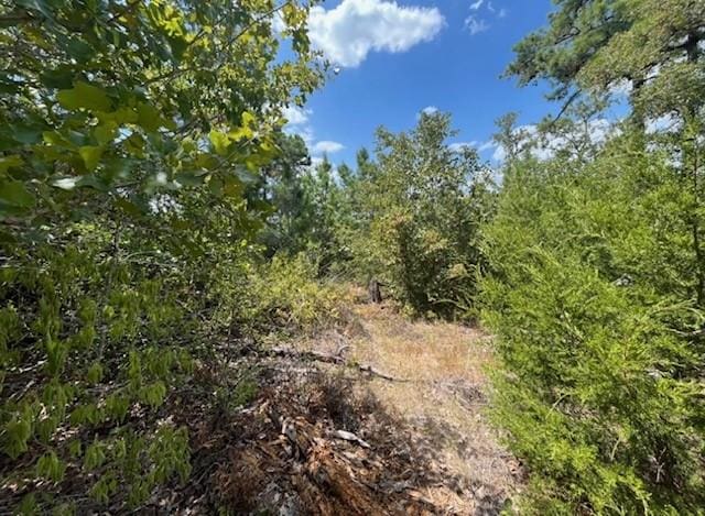 TBD Pine Tree Loop, Bastrop, TX 78602