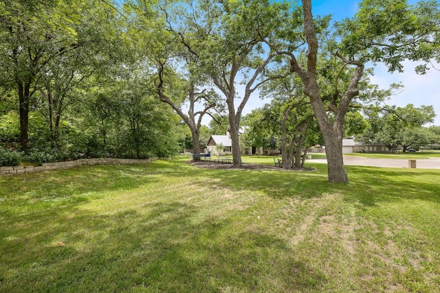 3 Hillview Dr, Round Rock, TX 78664 - view of green lawn