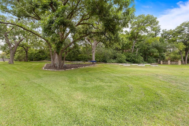 3 Hillview Dr, Round Rock, TX 78664 - view of green lawn