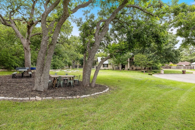 3 Hillview Dr, Round Rock, TX 78664 - view of green lawn