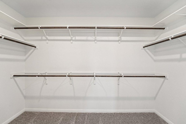 202 Delaware Mountains Ter, Dripping Springs, TX 78620 - spacious closet featuring carpet flooring