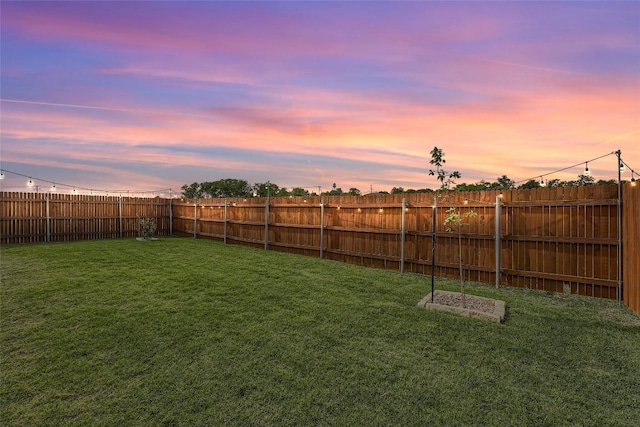 12904 Cerro Castellan Trce, Manor, TX 78653 - view of yard