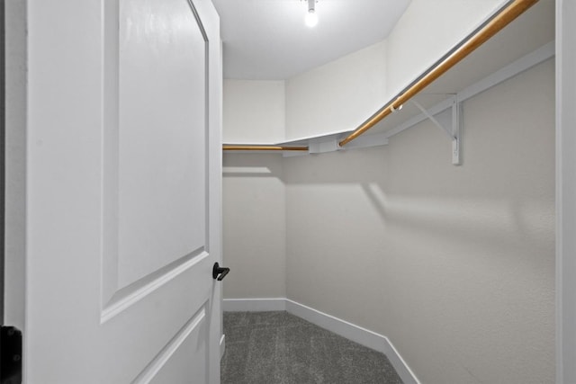 4913 Single Shot Cir, Austin, TX 78723 - spacious closet with dark colored carpet