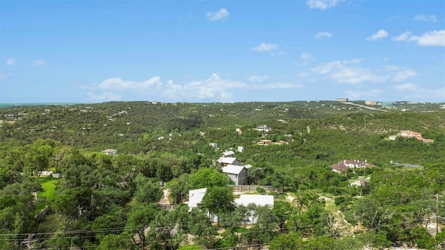 1357 The High Rd Unit 1/2, Austin, TX 78746 - photo 12
