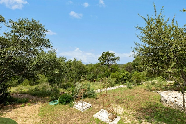 1357 The High Rd Unit 1/2, Austin, TX 78746 - photo 6