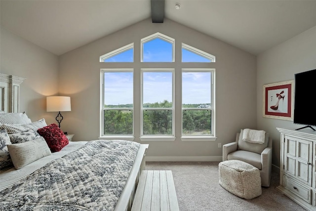 17804 Hattie Trce, Austin, TX 78738 - bedroom with carpet, multiple windows, and baseboards