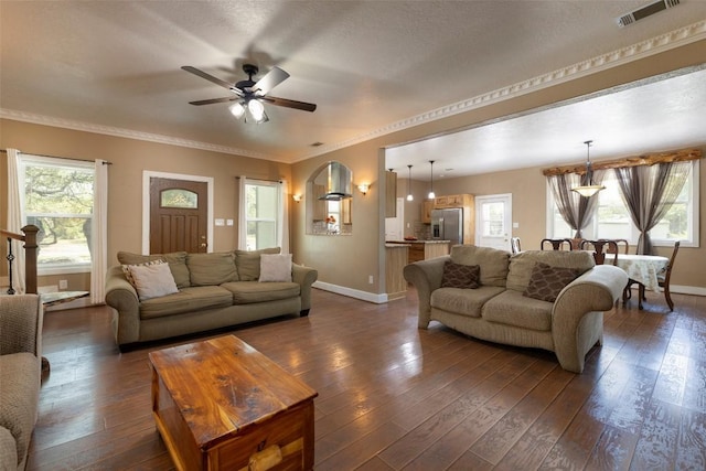 15055 Fm 32, Blanco, TX 78606 - living room featuring baseboards, a ceiling fan, dark wood-type flooring, plenty of natural light, and crown molding
