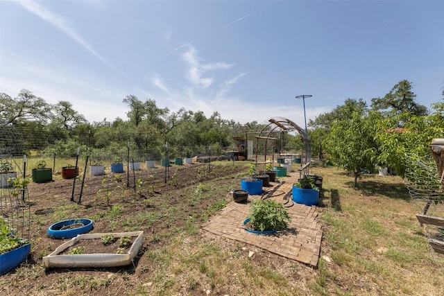 15055 Fm 32, Blanco, TX 78606 - view of yard with a vegetable garden
