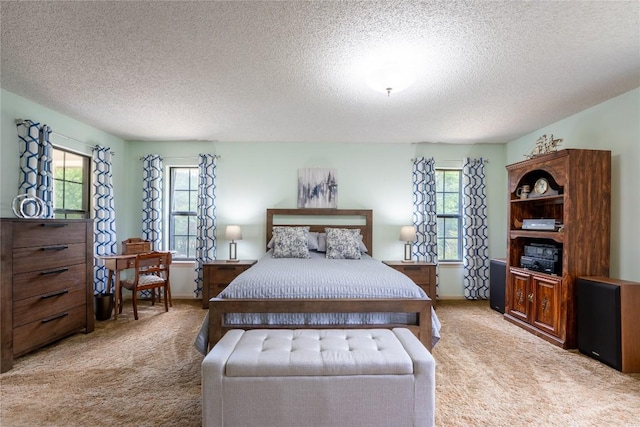 42 Laurel Hill St, Austin, TX 78737 - photo 10