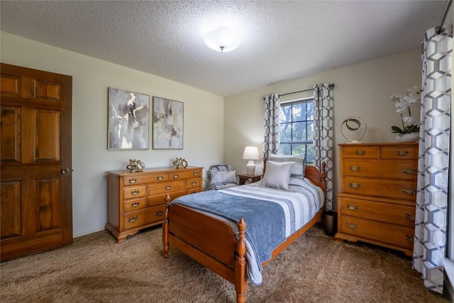 42 Laurel Hill St, Austin, TX 78737 - bedroom featuring carpet and a textured ceiling