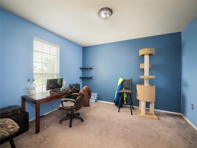 6900 Midlothian Dr, Austin, TX 78754 - office space featuring carpet floors and baseboards