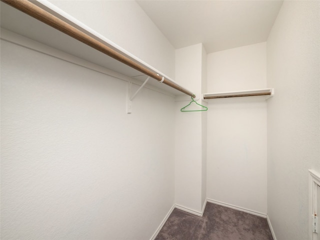 6900 Midlothian Dr, Austin, TX 78754 - photo 28