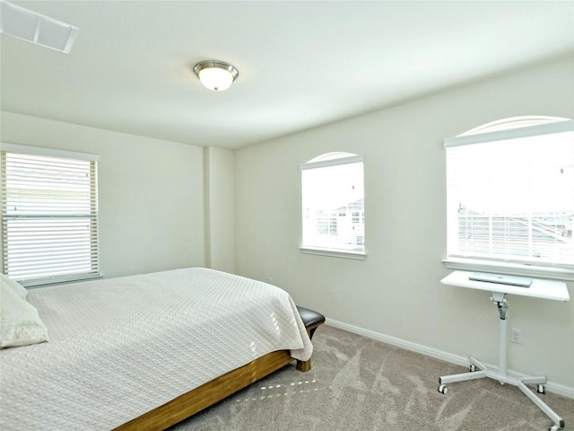 913 Swan Flower St, Leander, TX 78641 - bedroom featuring baseboards and carpet floors