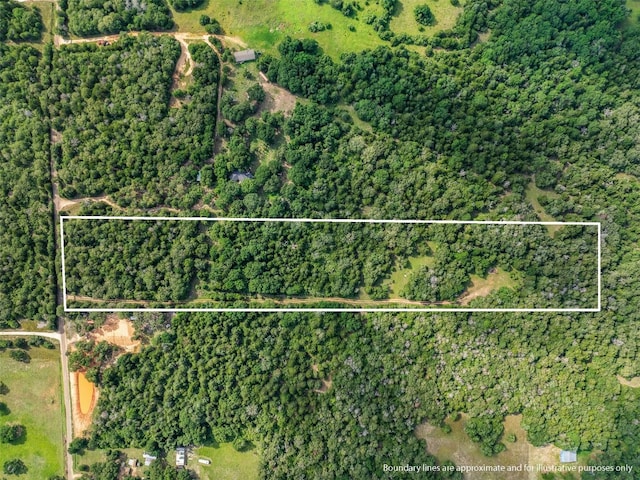TBD(+/-15Acres) County Road 316, Caldwell, TX 77836