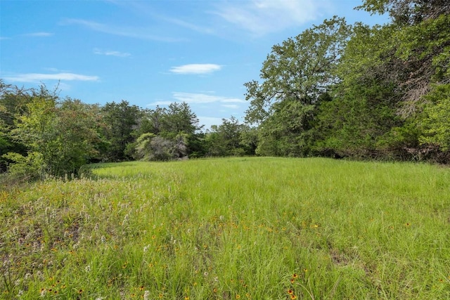 TBD(+/-15Acres) County Road 316, Caldwell, TX 77836