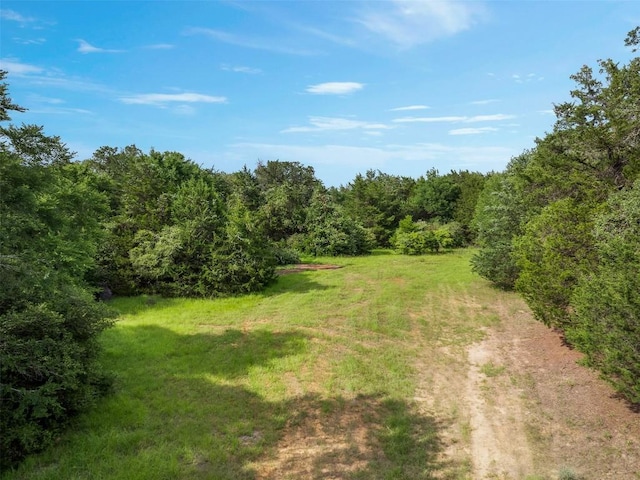TBD(+/-15Acres) County Road 316, Caldwell, TX 77836