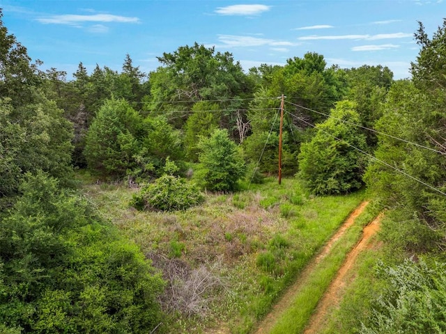 TBD(+/-15Acres) County Road 316, Caldwell, TX 77836