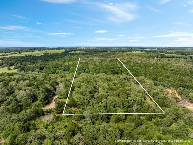 TBD(+/-15Acres) County Road 316, Caldwell, TX 77836 - photo 4