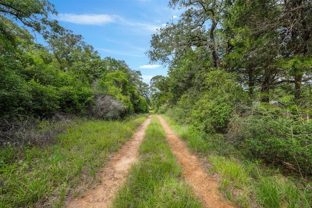 TBD(+/-15Acres) County Road 316, Caldwell, TX 77836