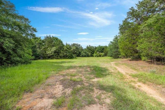 TBD(+/-15Acres) County Road 316, Caldwell, TX 77836
