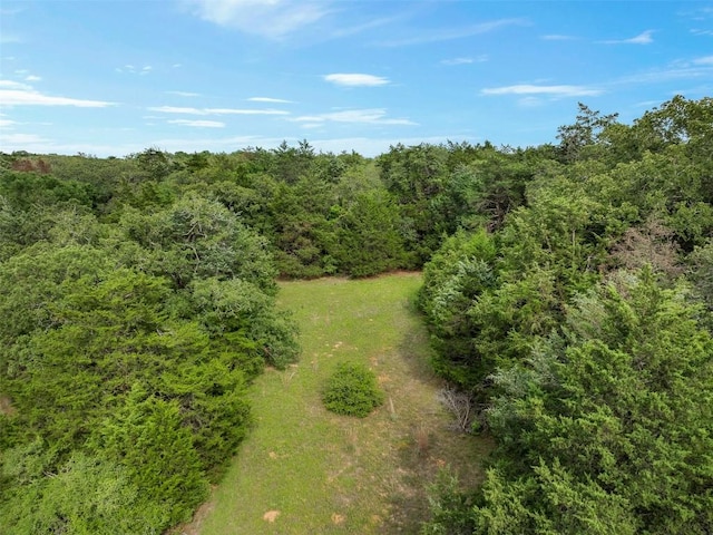 TBD(+/-15Acres) County Road 316, Caldwell, TX 77836