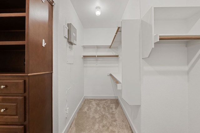 1036 Liberty Park Dr Unit 3, Austin, TX 78746 - spacious closet with carpet flooring