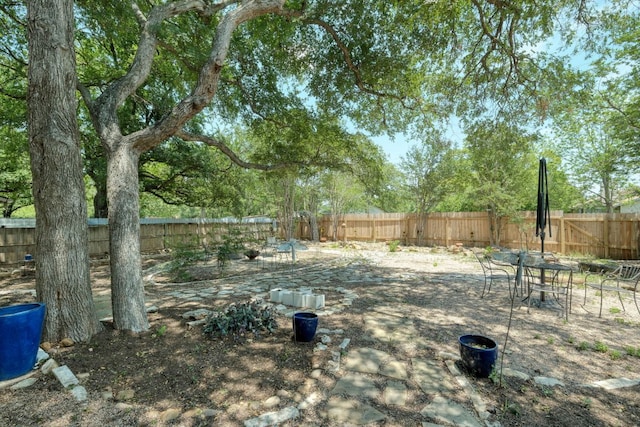 1506 Spiderlily Vw, Cedar Park, TX 78613 - fenced backyard with outdoor dining space