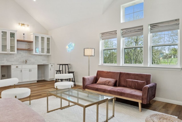 800 Newcastle Dr, Austin, TX 78745 - living room with high vaulted ceiling and light wood-style flooring