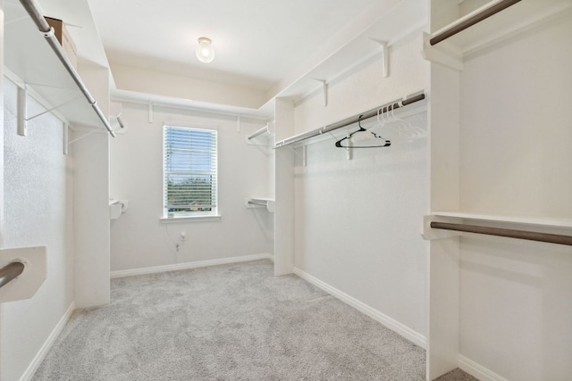 800 Newcastle Dr, Austin, TX 78745 - walk in closet featuring carpet