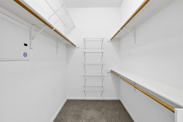 250 Maeves Way, Austin, TX 78737 - spacious closet featuring carpet floors