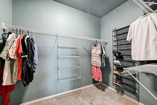 808 N Creek Blvd, Leander, TX 78641 - walk in closet featuring carpet flooring