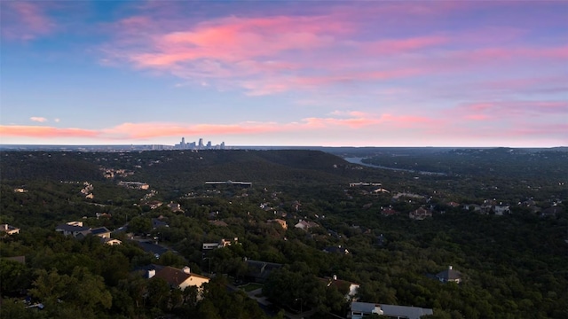 6203 Ledge Mountain Dr, Austin, TX 78731 - view of property location featuring a forest