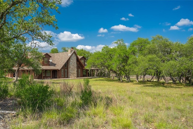 11155 Bonham Ranch Rd, Dripping Springs, TX 78620 - view of yard