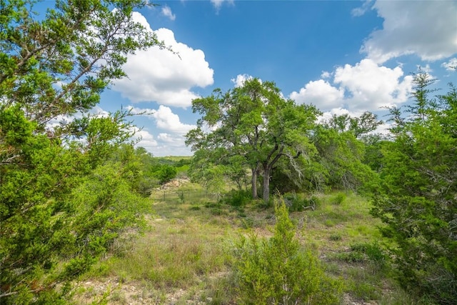 11155 Bonham Ranch Rd, Dripping Springs, TX 78620 - view of wooded area