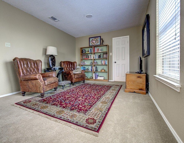 14309 Richard Walker Blvd, Austin, TX 78728 - sitting room featuring carpet floors, a textured ceiling, baseboards, and a wood stove
