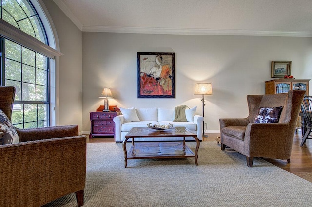 14309 Richard Walker Blvd, Austin, TX 78728 - living area featuring ornamental molding and baseboards