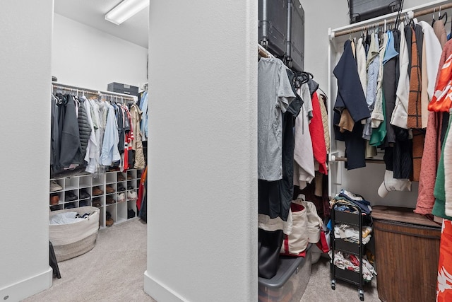 104 Meadow Wood Cv, Georgetown, TX 78626 - spacious closet with carpet