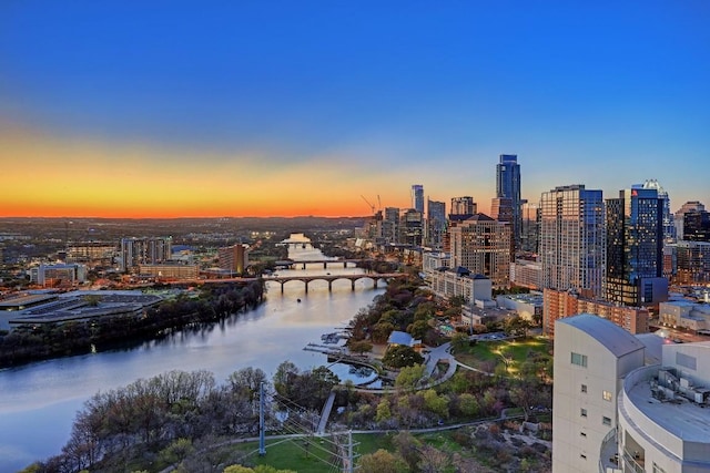 70 Rainey St Unit 2606, Austin, TX 78701 - photo 37