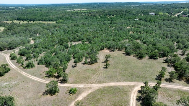 1803 Upper Elgin River Rd, Elgin, TX 78621