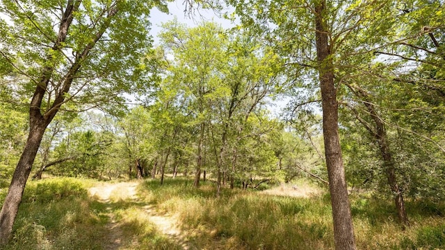 1803 Upper Elgin River Rd, Elgin, TX 78621