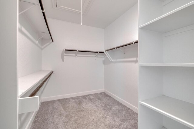 3241 Aurelia Ln, Round Rock, TX 78665 - spacious closet featuring attic access and carpet flooring