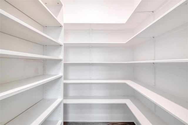 3241 Aurelia Ln, Round Rock, TX 78665 - view of storage area