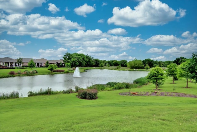3241 Aurelia Ln, Round Rock, TX 78665 - water view