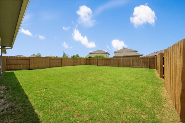 605 Bridle Creek Dr, Georgetown, TX 78626 - view of yard
