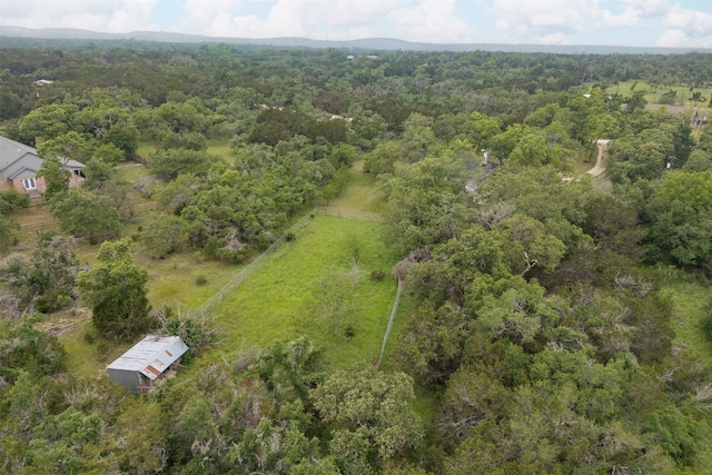 1250 S Rainbow Ranch Rd, Wimberley, TX 78676 - aerial overview of property's location with a forest