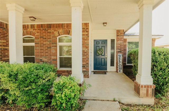 17506 Bottle Springs Ln, Leander, TX 78641 - photo 3