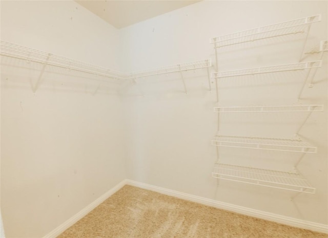 17506 Bottle Springs Ln, Leander, TX 78641 - photo 30