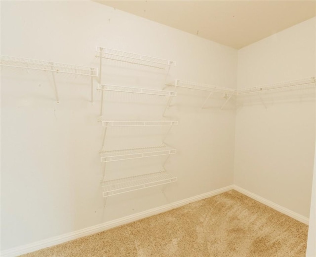 17506 Bottle Springs Ln, Leander, TX 78641 - photo 31