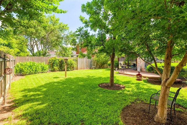 2506 Jacqueline Dr, Leander, TX 78641 - photo 27