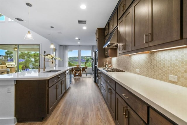 1329 Da Vinci Trl, Leander, TX 78641 - kitchen featuring under cabinet range hood, light wood-style flooring, dark brown cabinetry, a center island with sink, and light countertops